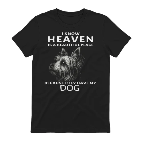 My Yorkshire Terrier