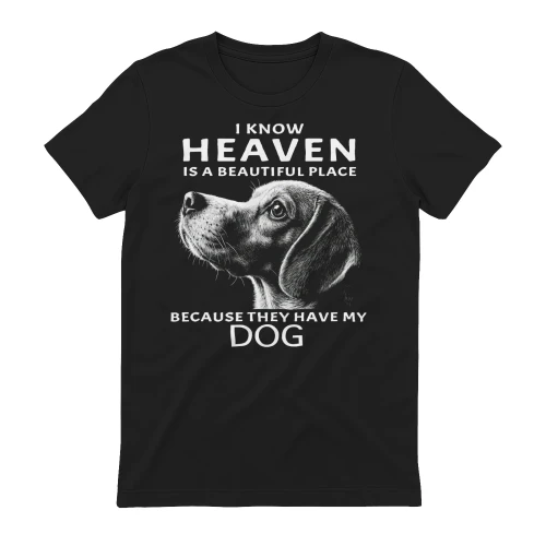 My Beagle