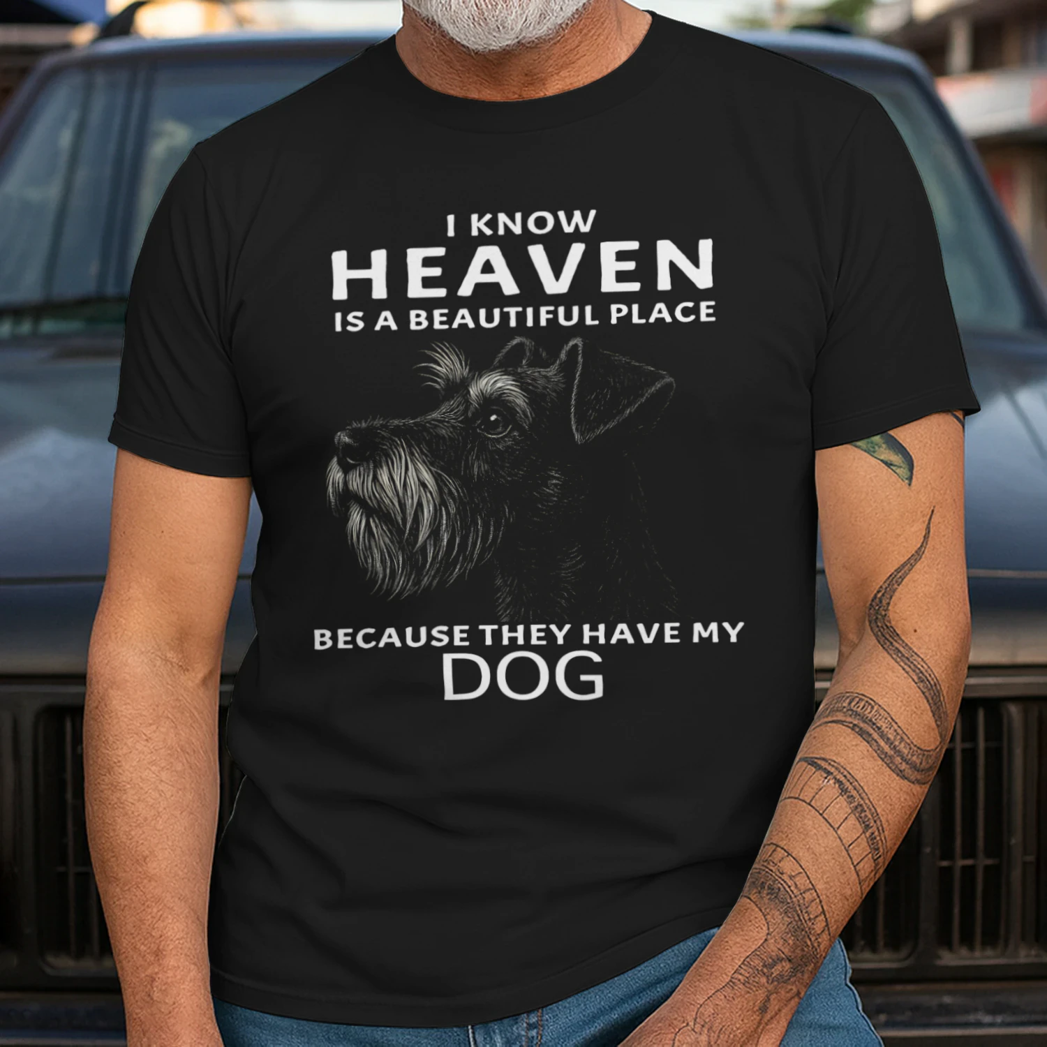 My Schnauzer