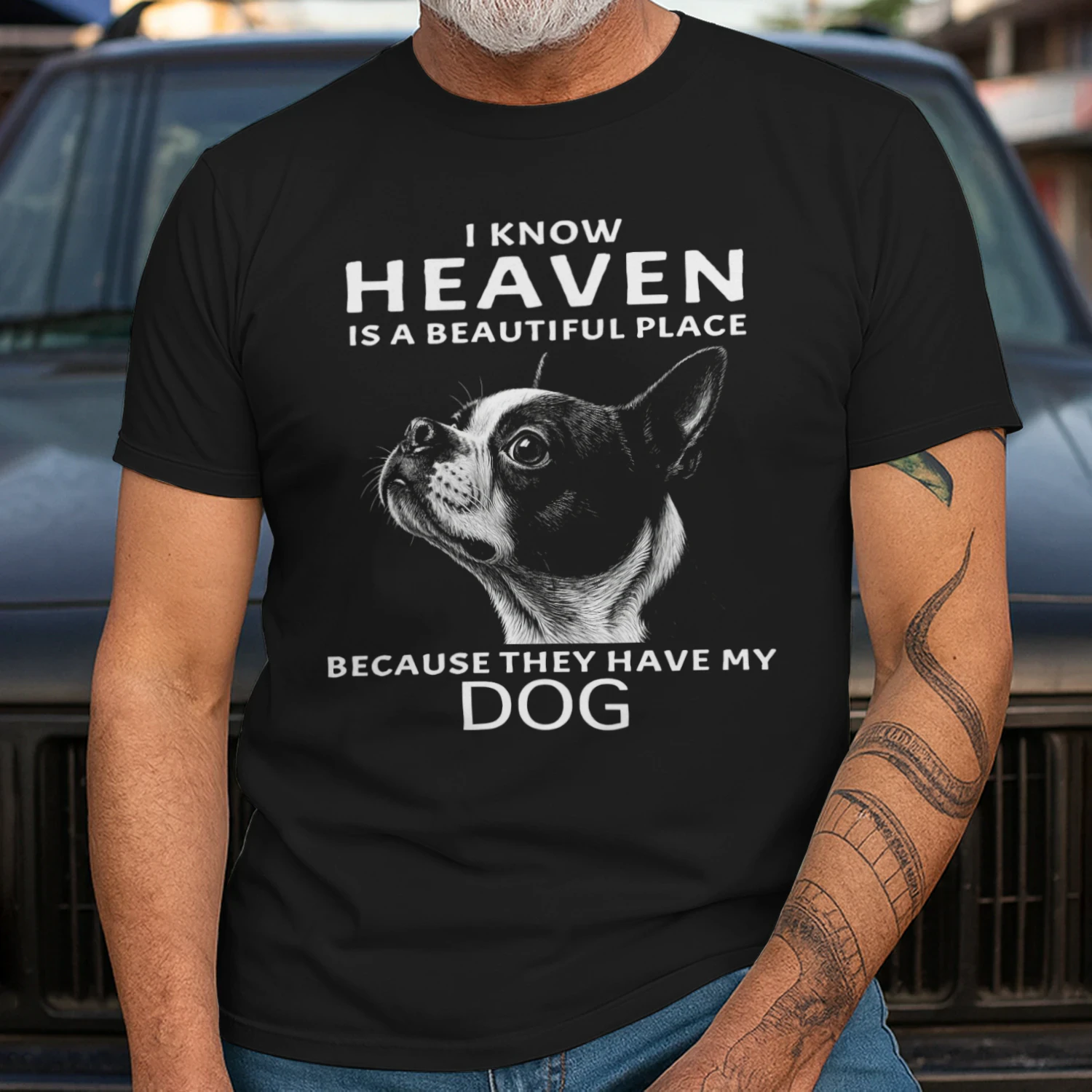 My Boston Terrier