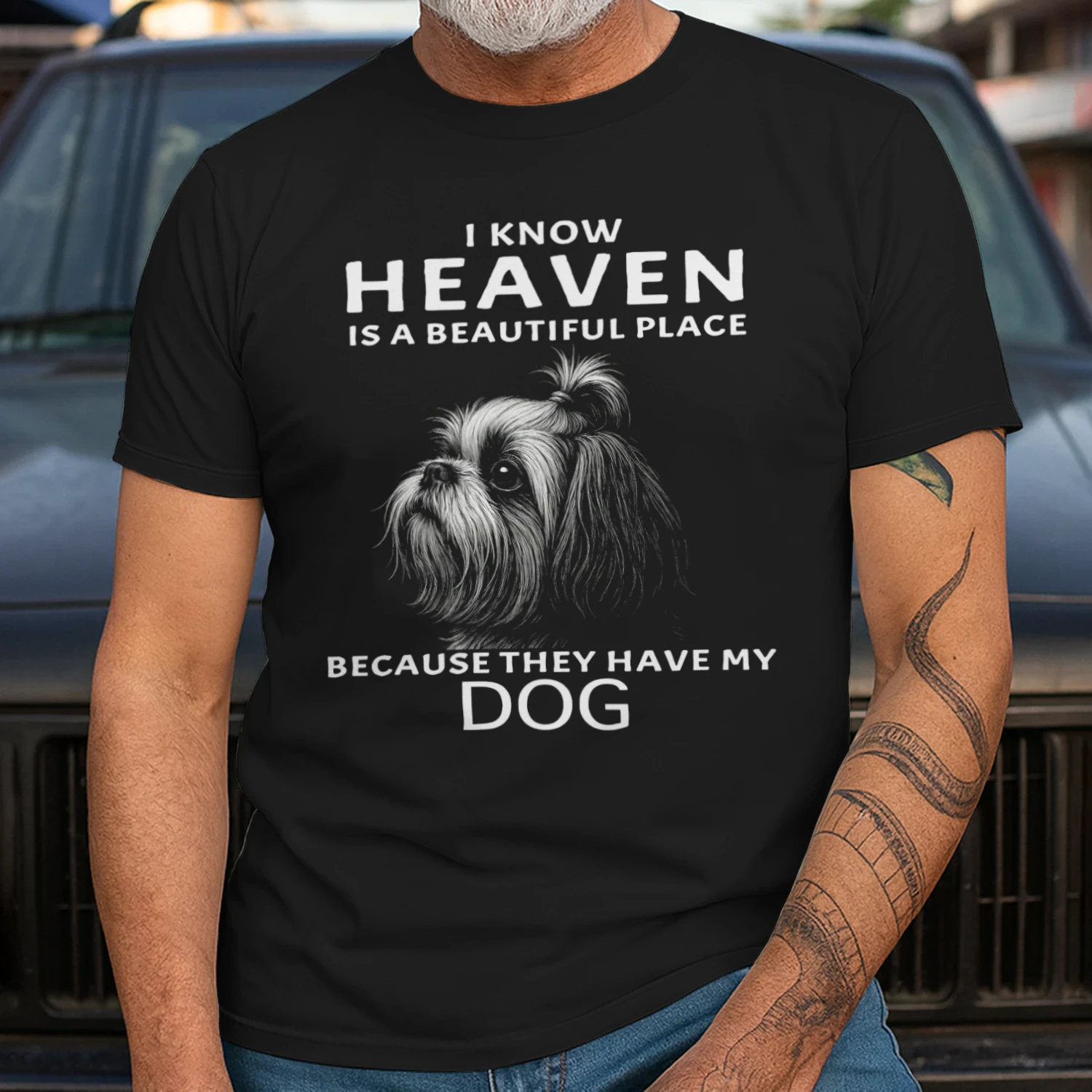 My Shih Tzu