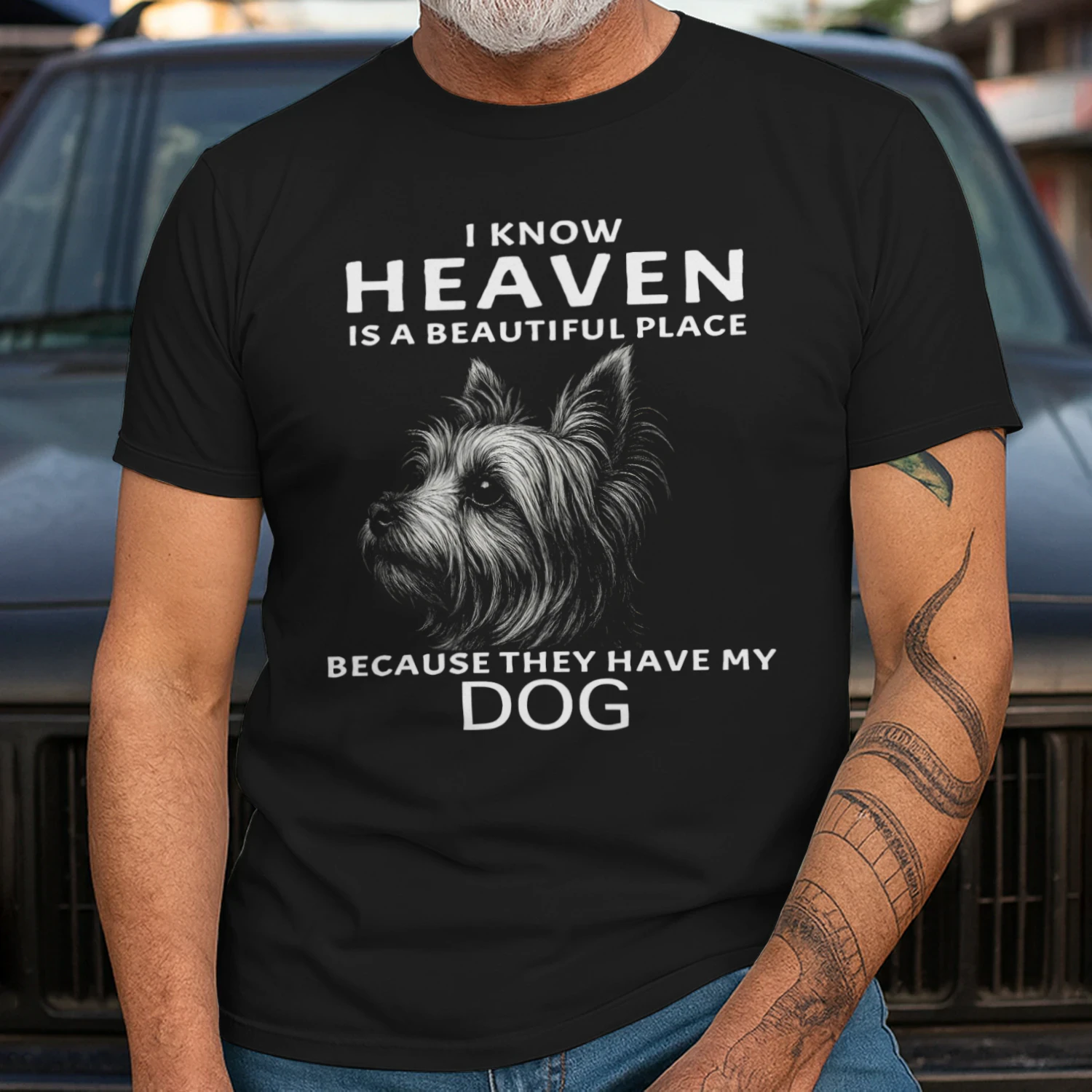 My Yorkshire Terrier