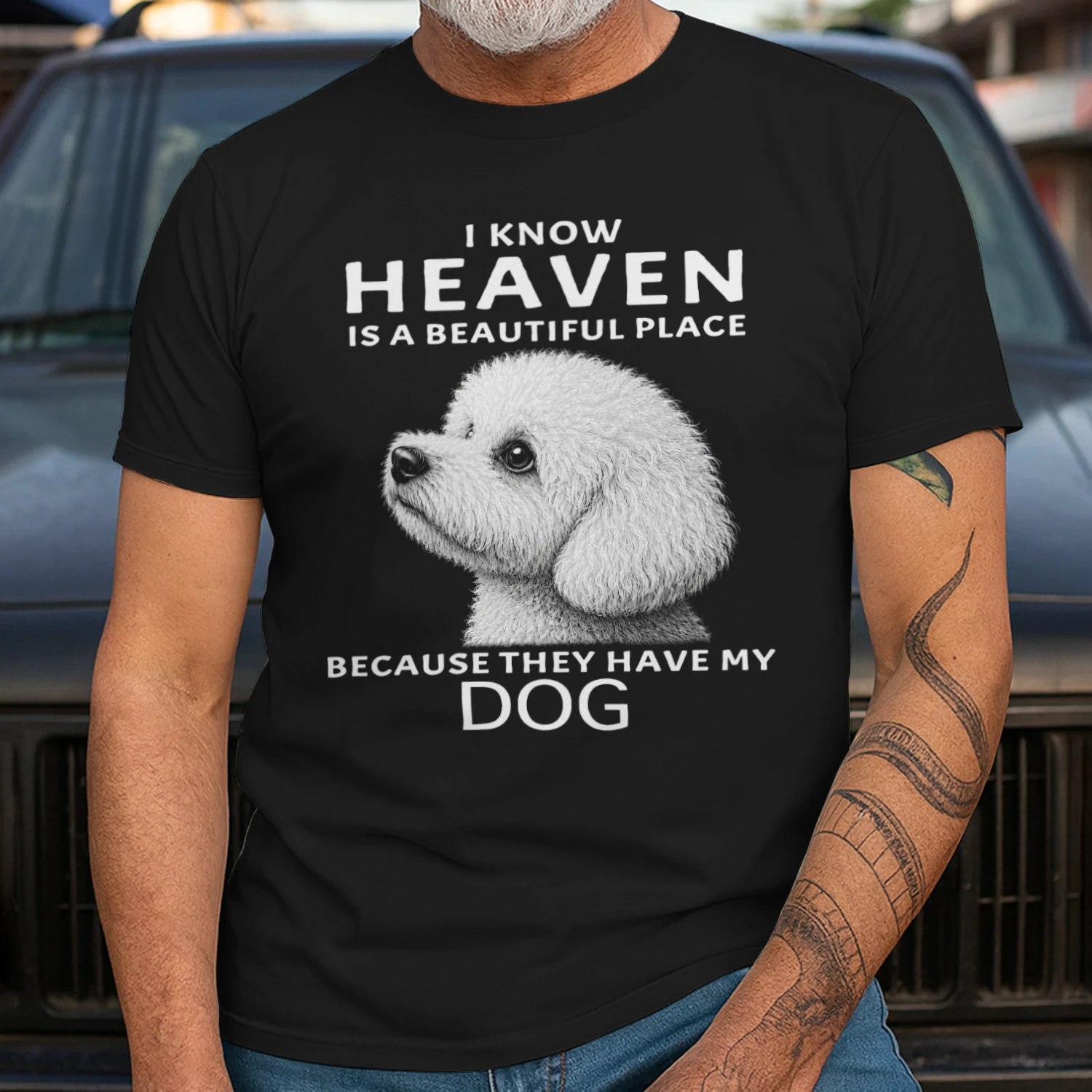 My Bichon Frise