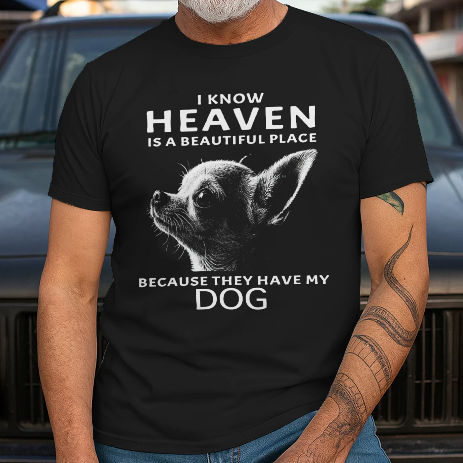 My Chihuahua