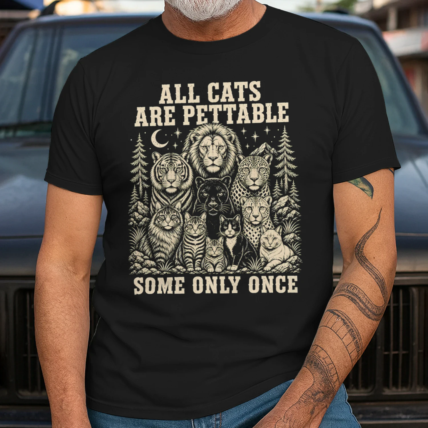 Cats Pettable