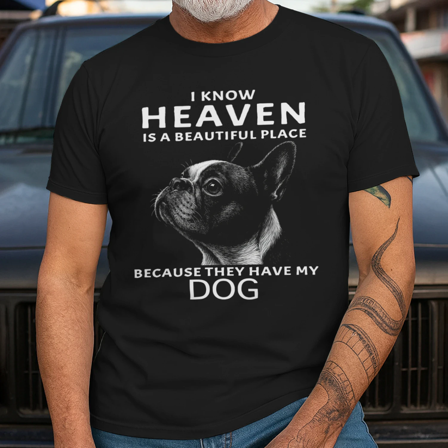 My French Bulldog