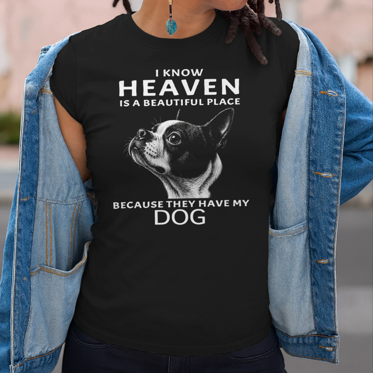 My Boston Terrier