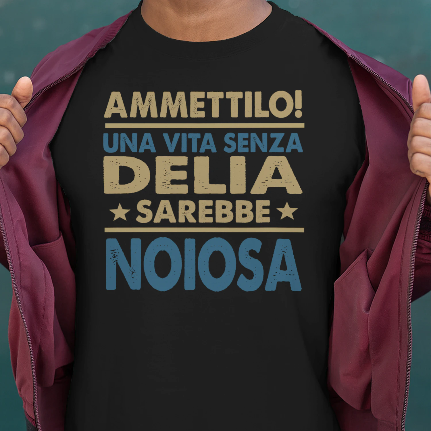 delia-cit100-cit7541