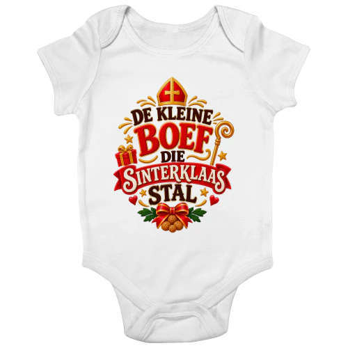 De Kleine Boef Die Sinterklaas Stal