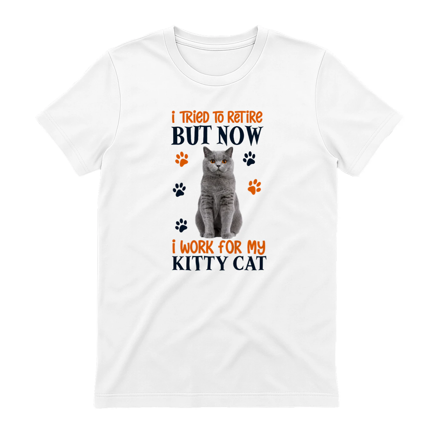 I Tried To Retire But Now I Work For My British Shorthair