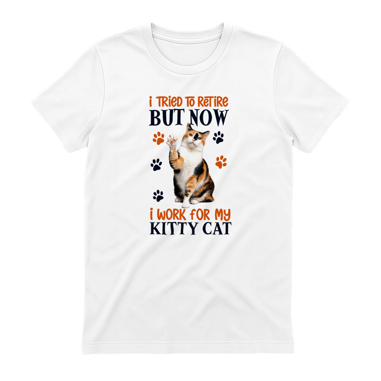 I Tried To Retire But Now I Work For My Calico Cat