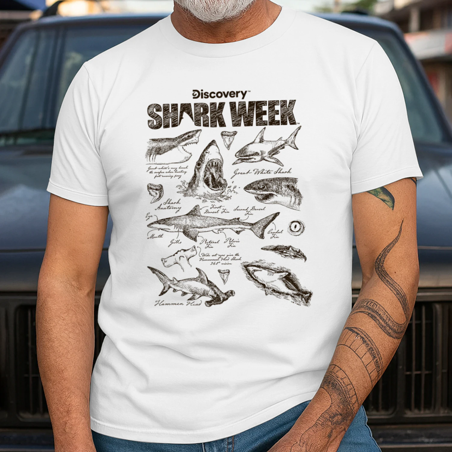 Shark Week Infographic Sharks Textbook Jumble Shark