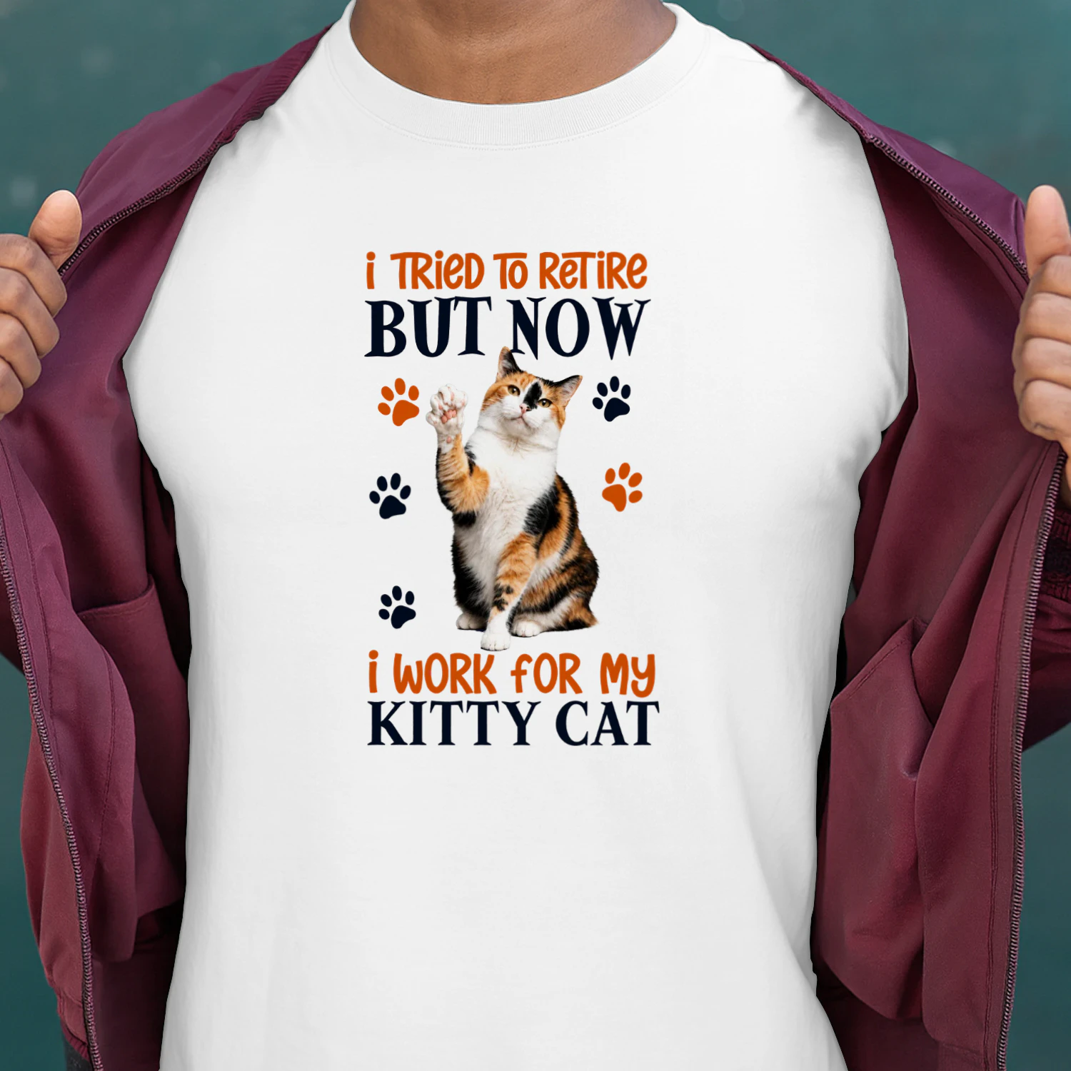 I Tried To Retire But Now I Work For My Calico Cat