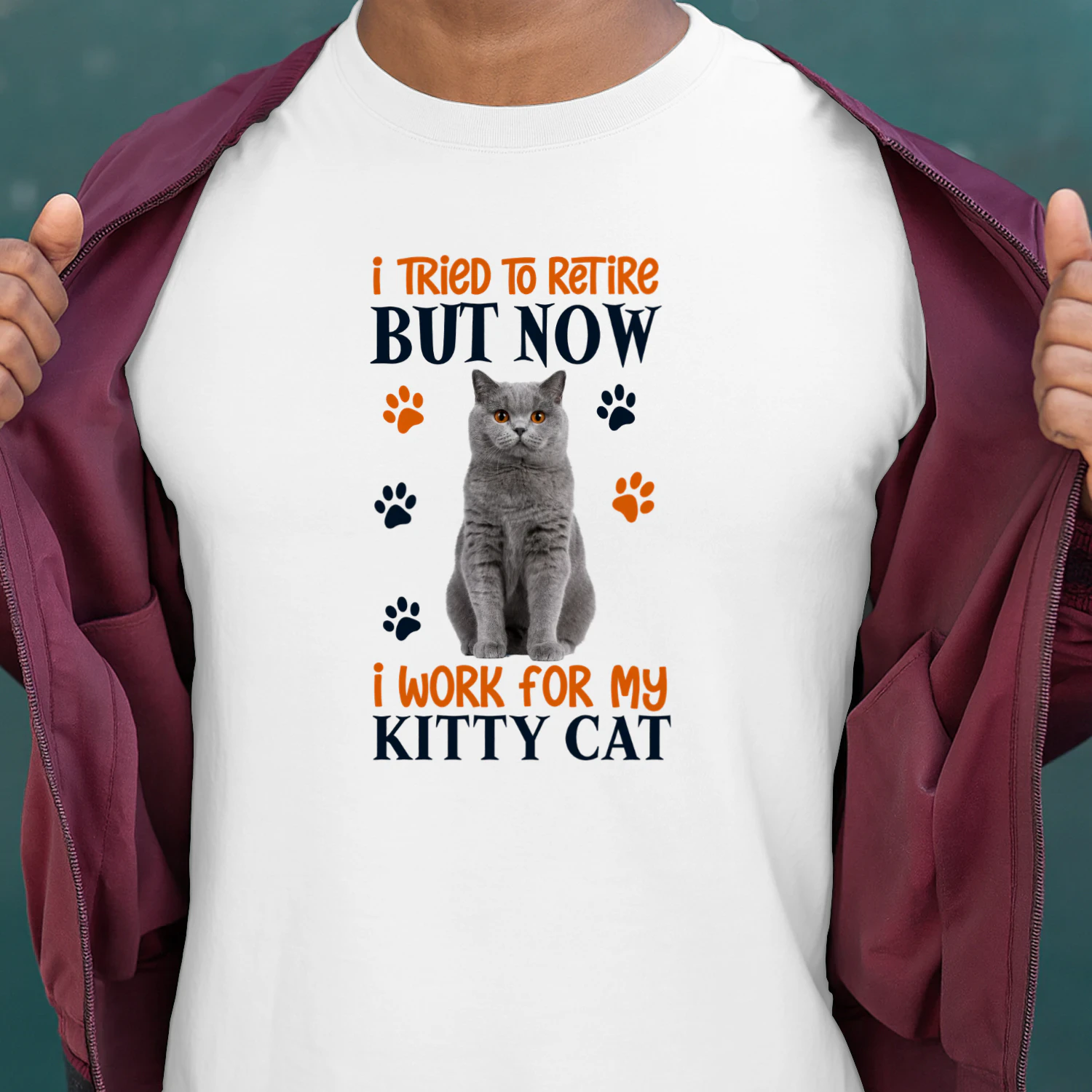 I Tried To Retire But Now I Work For My British Shorthair