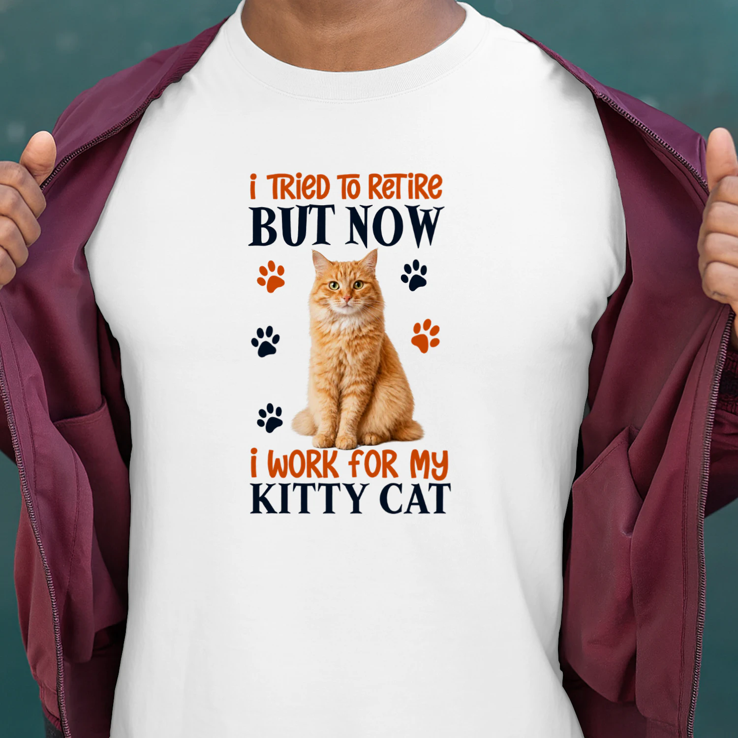 I Tried To Retire But Now I Work For My Orange Cat