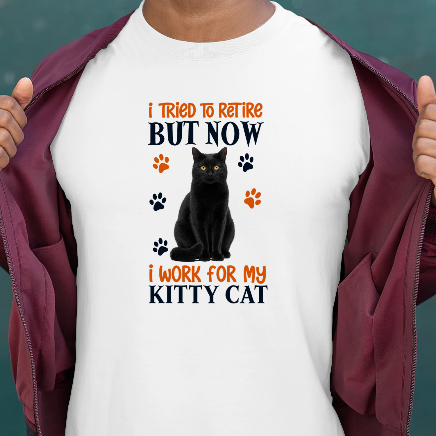 I Tried To Retire But Now I Work For My Cat