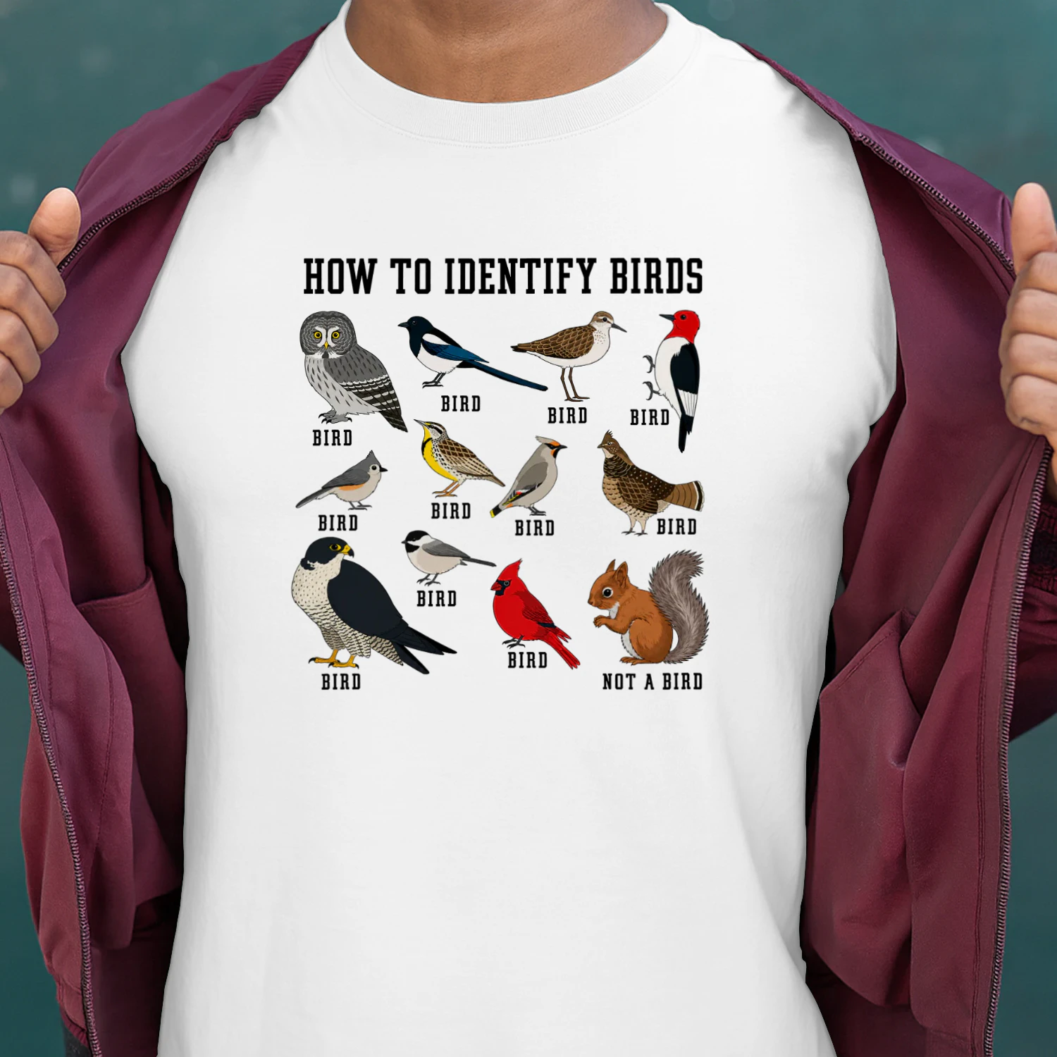 How to Identify Birds Shirt