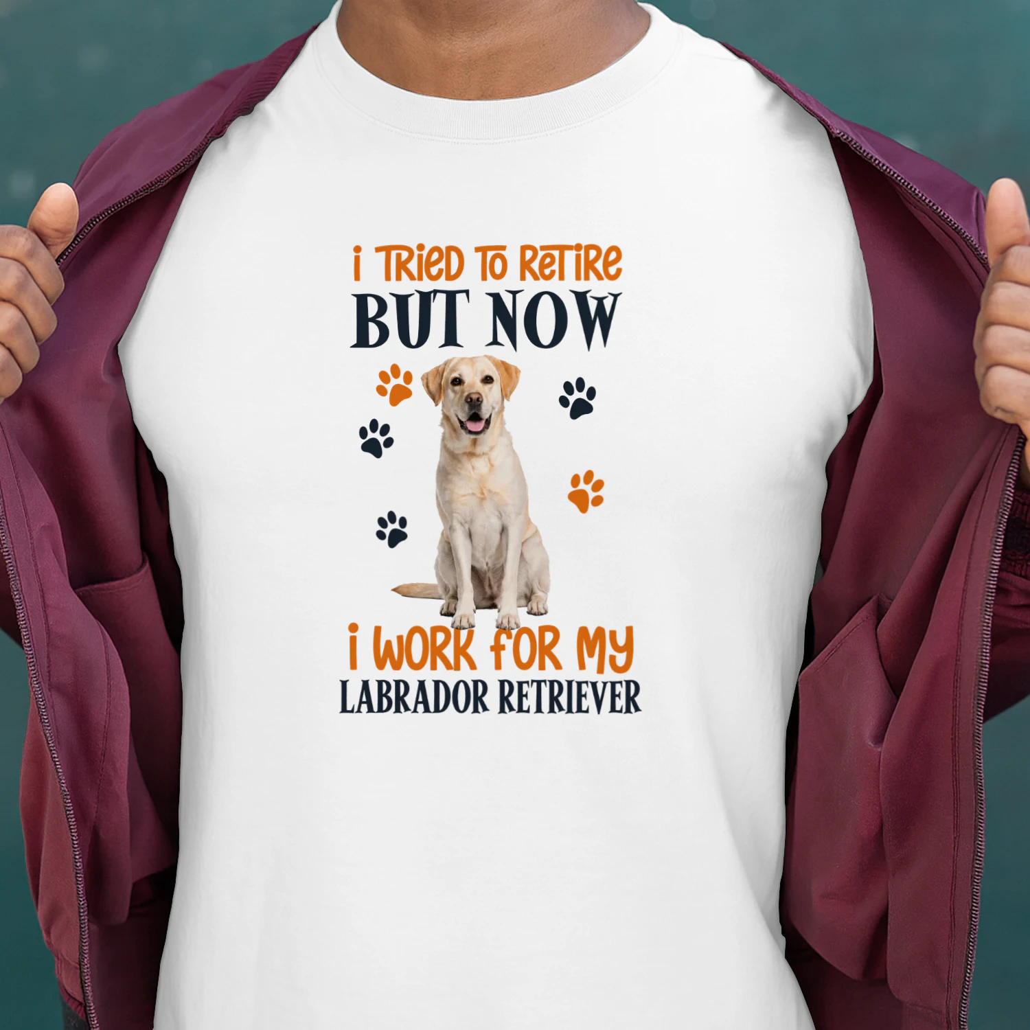 I Tried To Retire But Now I Work For My Labrador Retriever
