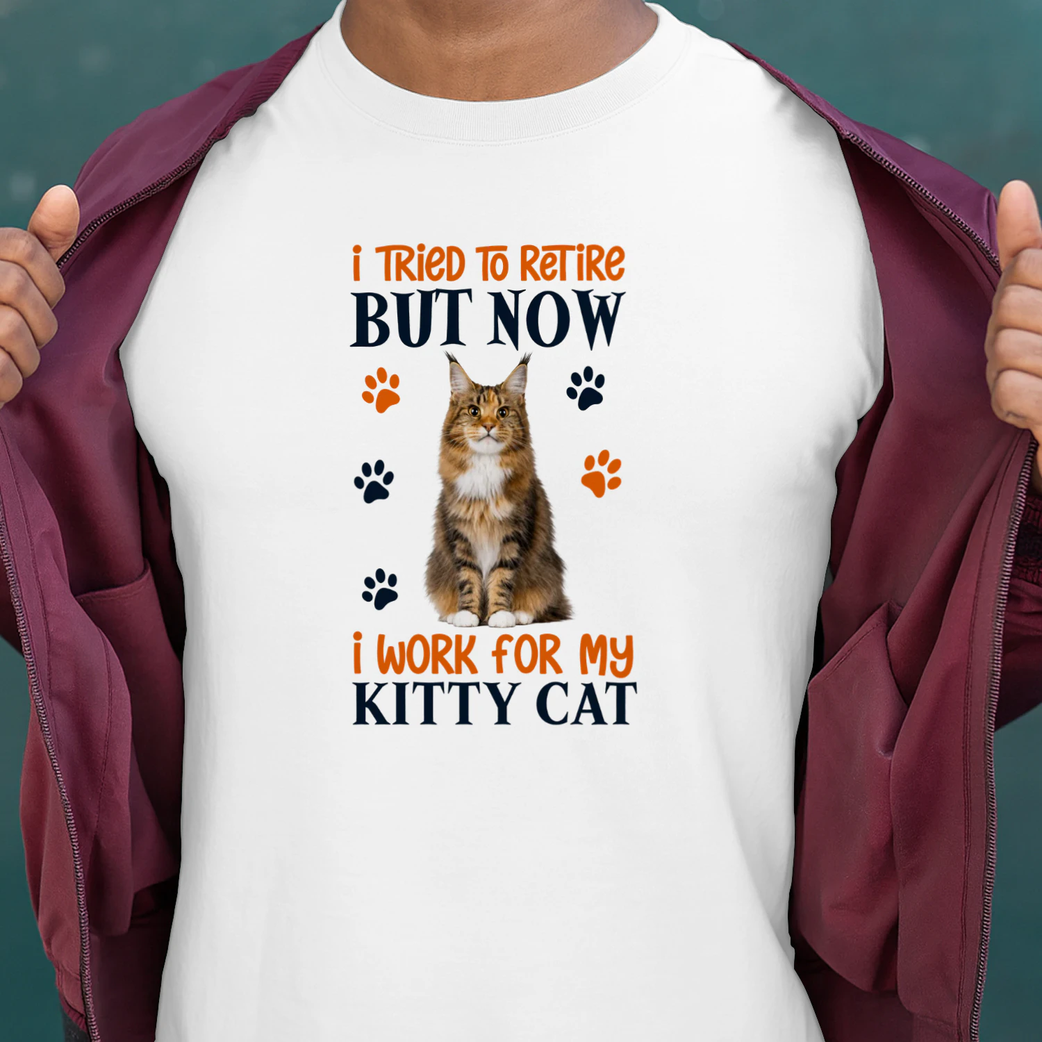 I Tried To Retire But Now I Work For My Maine Coon