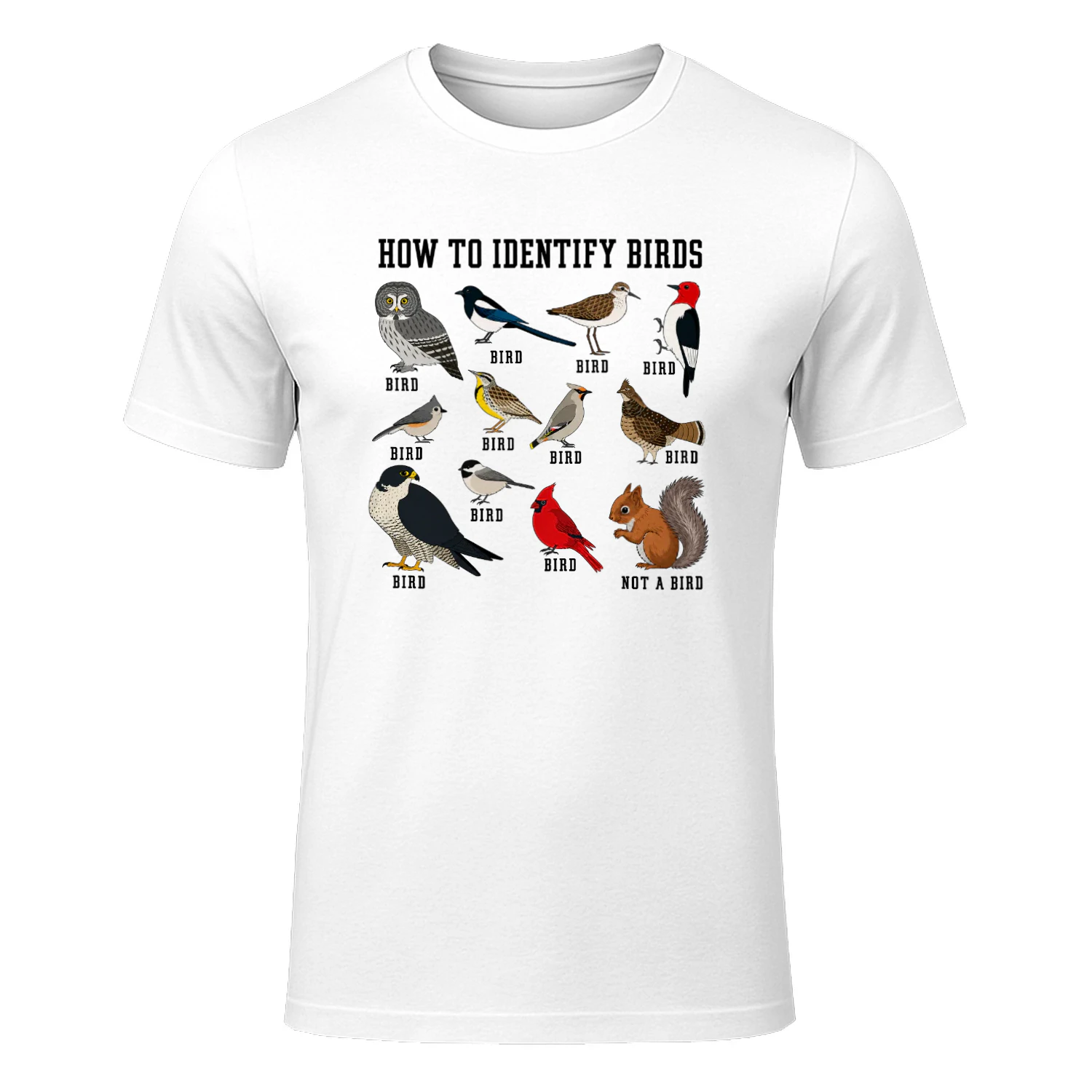 How to Identify Birds Shirt