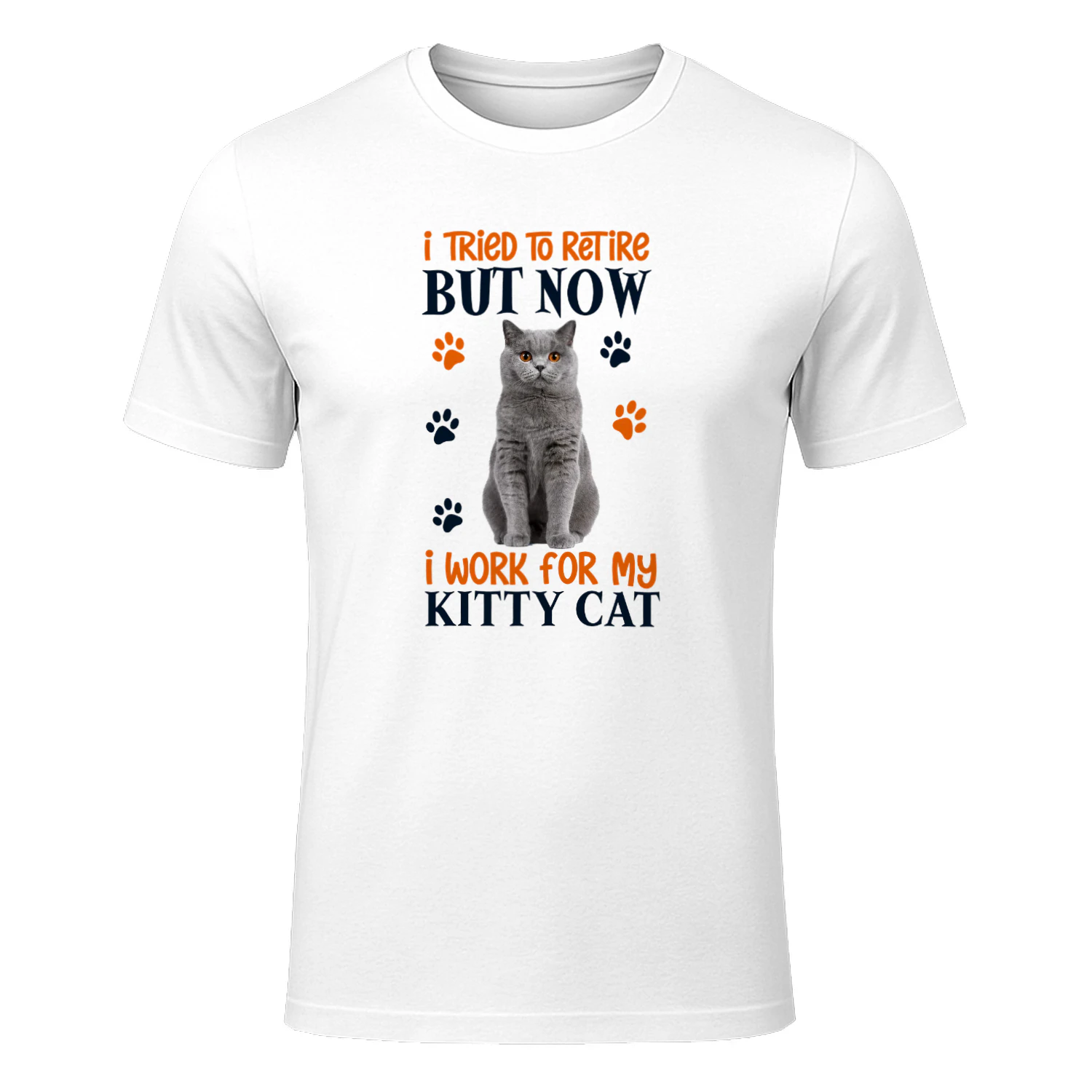I Tried To Retire But Now I Work For My British Shorthair