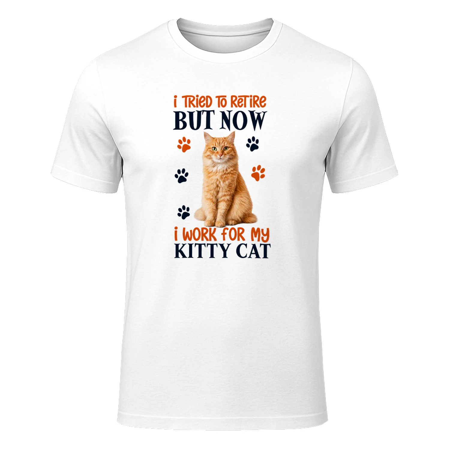 I Tried To Retire But Now I Work For My Orange Cat