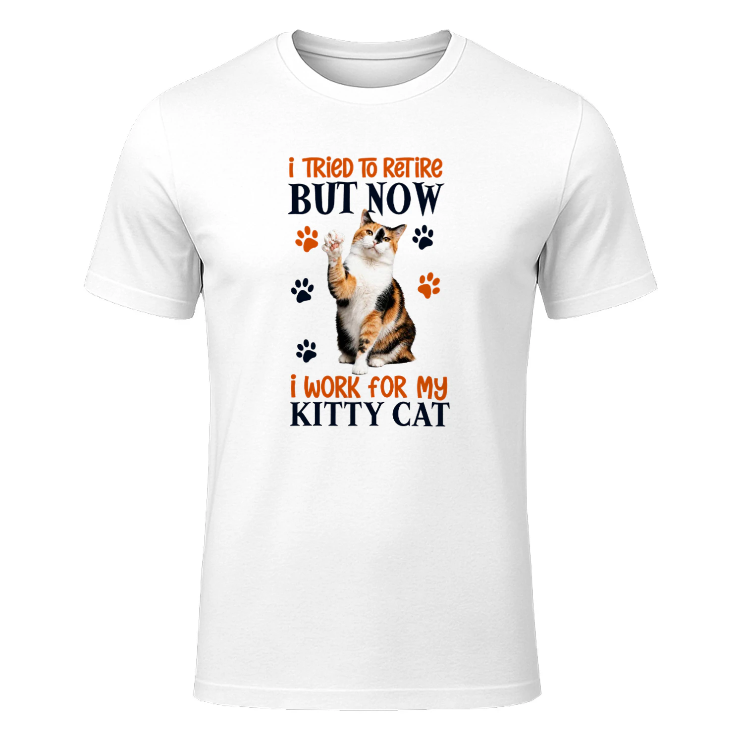 I Tried To Retire But Now I Work For My Calico Cat