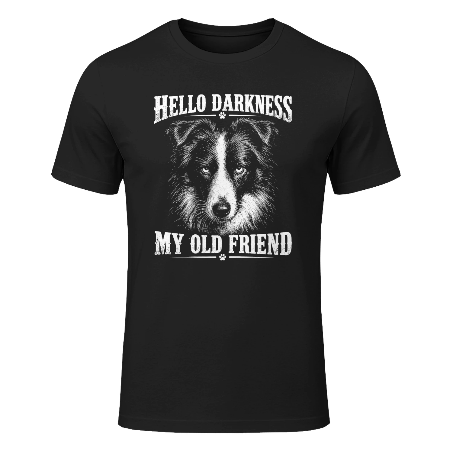 Border Collie Darkness 20