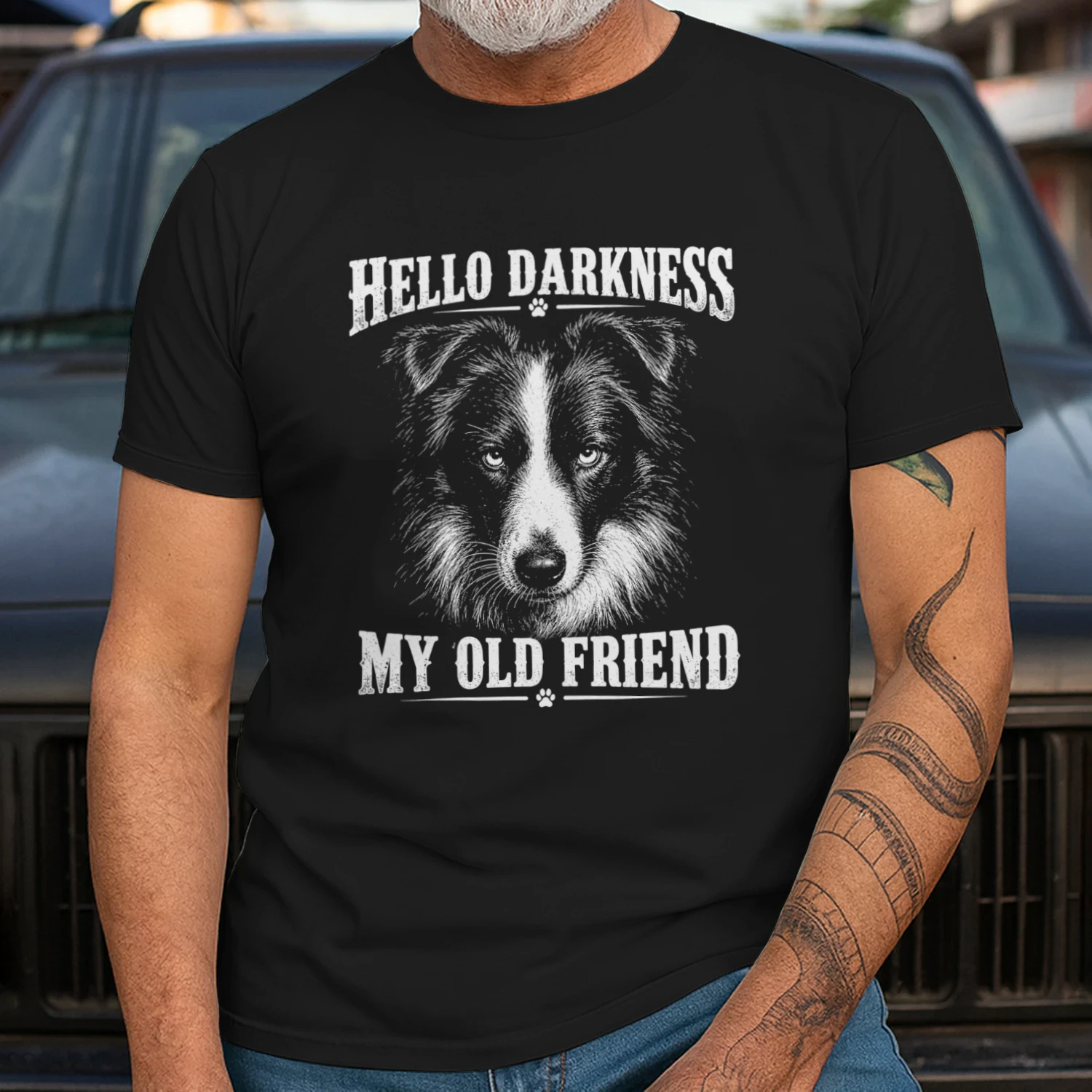 Border Collie Darkness 20