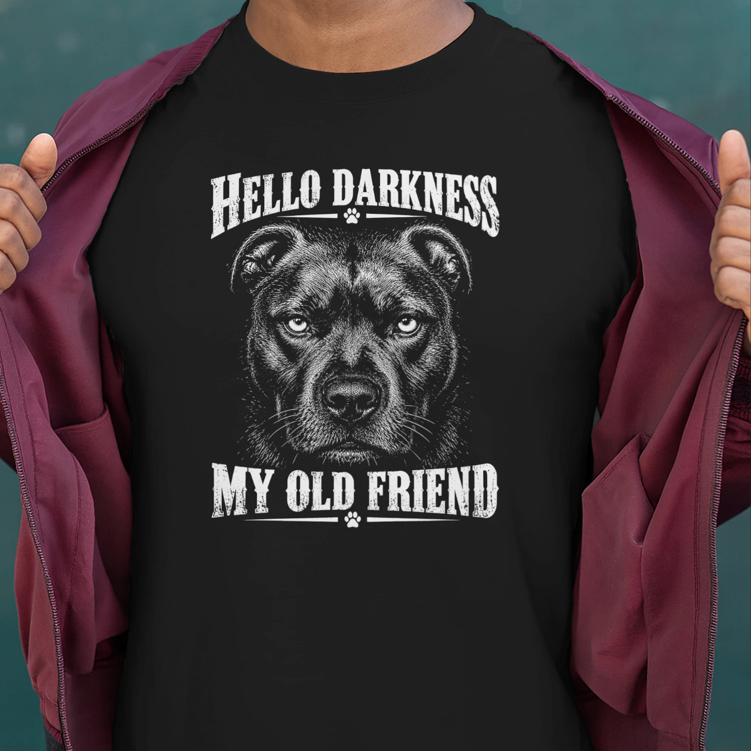 Staffordshire Bull Terrier Darkness 20
