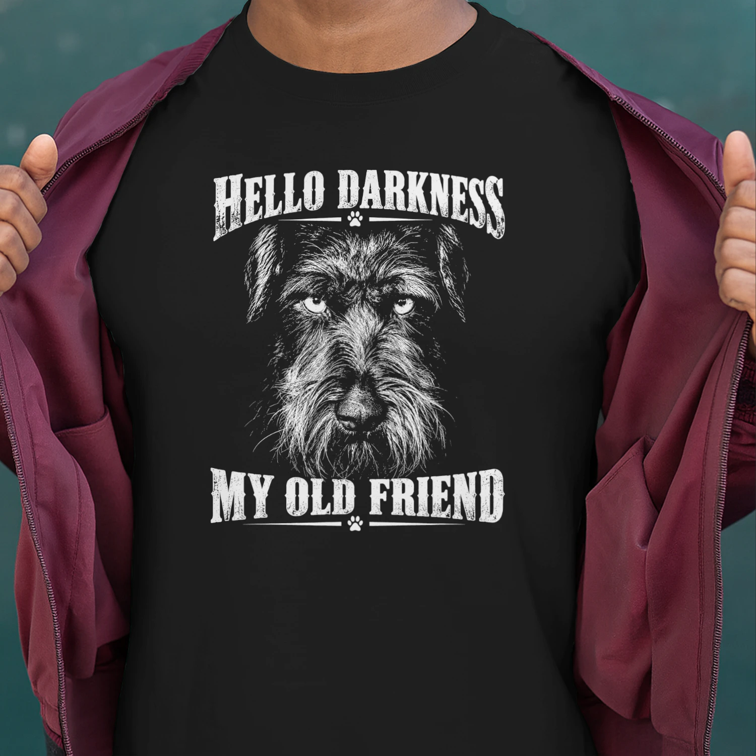 Schnauzer Darkness 20