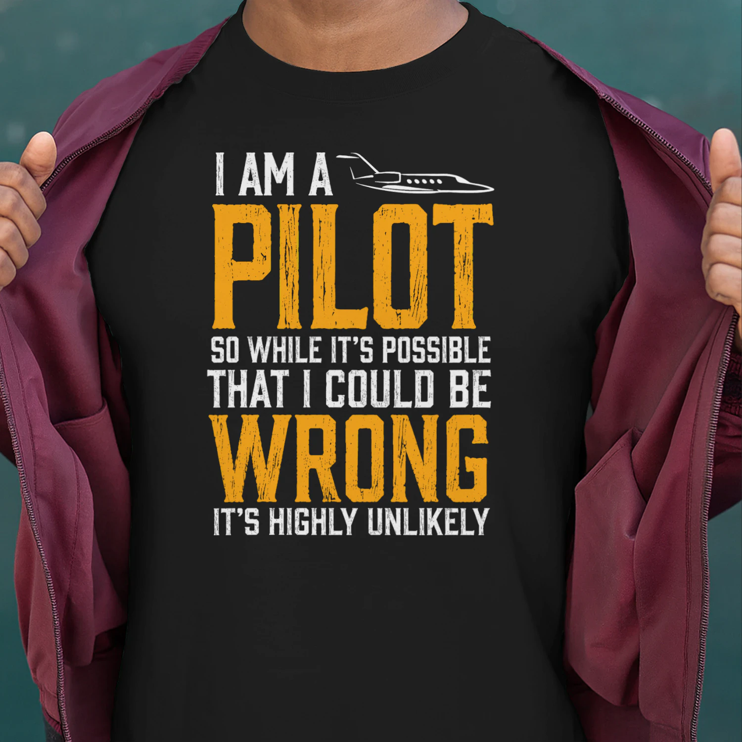 Pilot plane