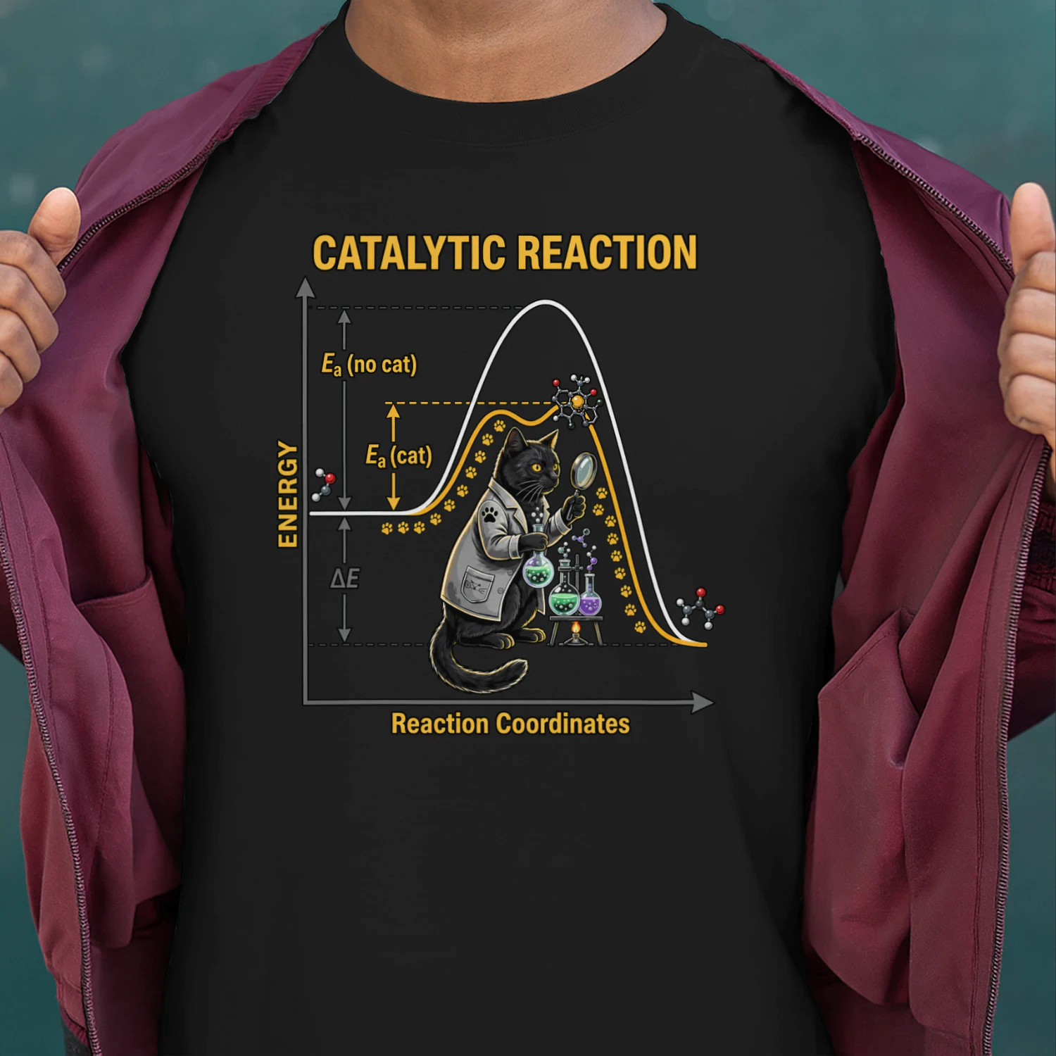 Catalytic Reaction