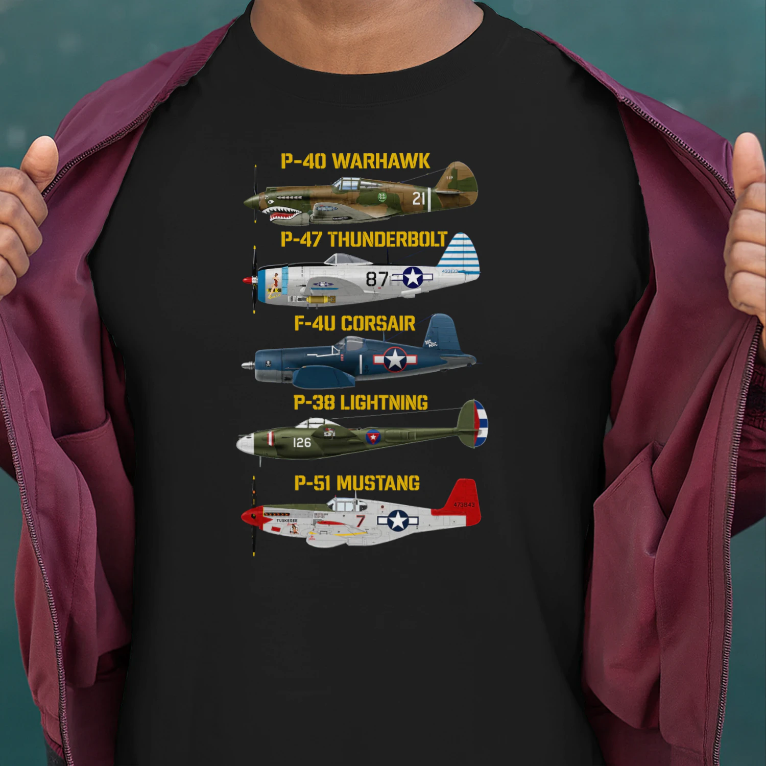 WW2 Planes Warbirds Warplanes 2