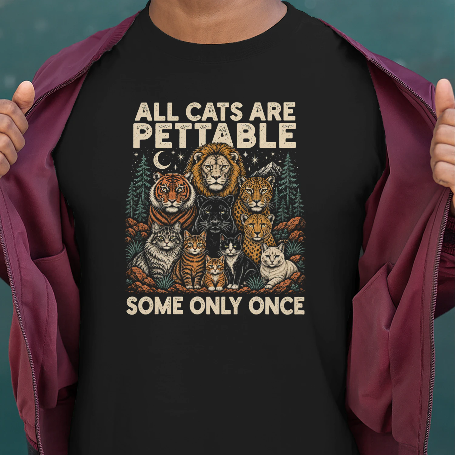 All cats are pettable some only once 2
