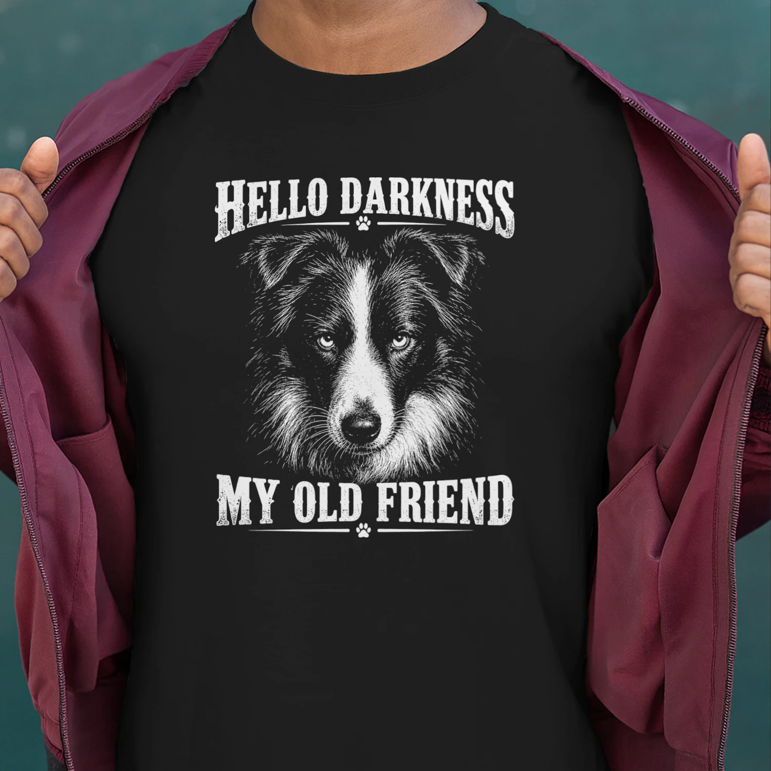 Border Collie Darkness 20