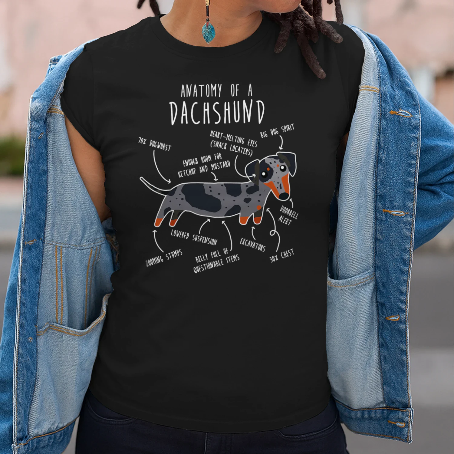Blue Dapple Dachshund Dog Anatomy Dachshund