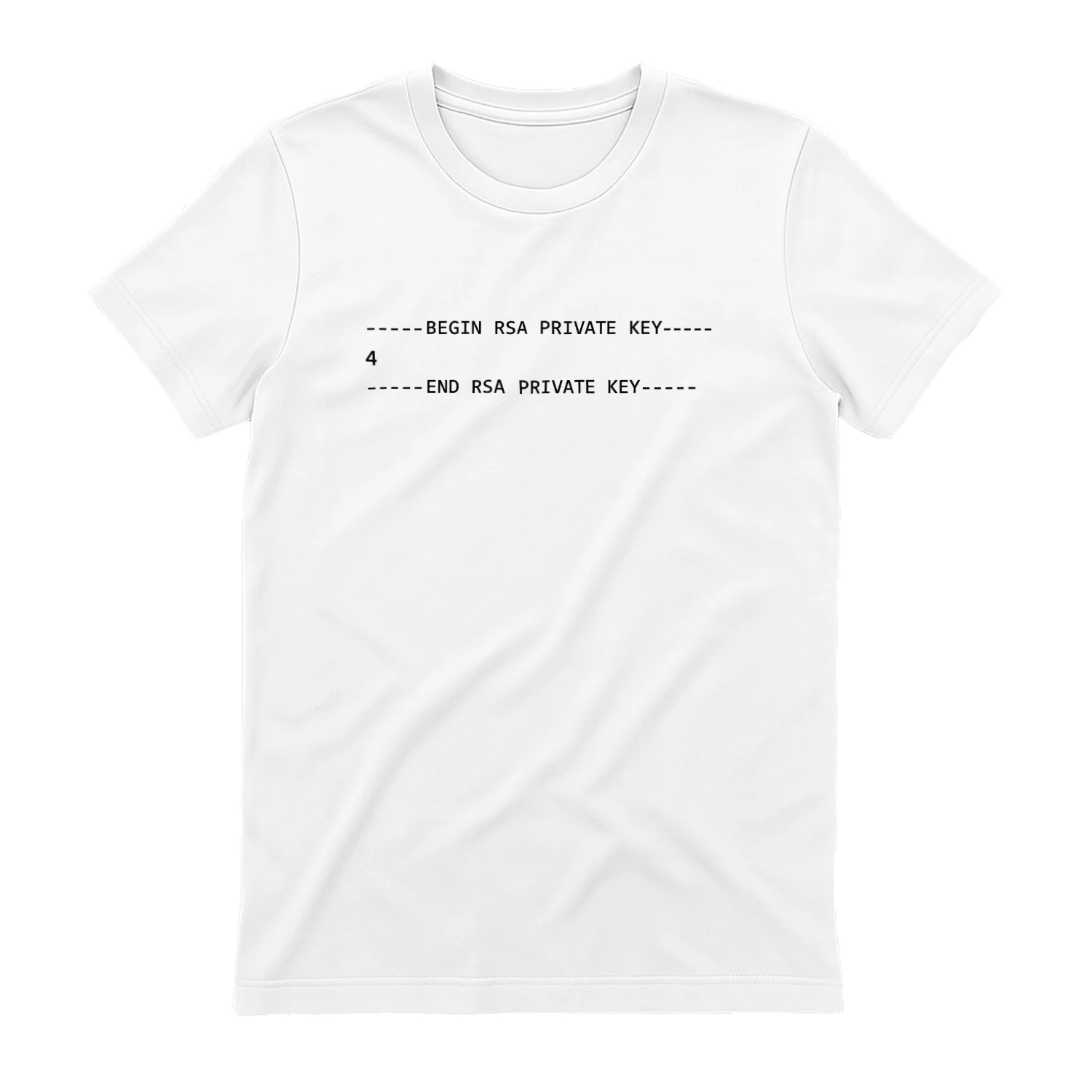 Begin RSA Private Key 4 End RSA Private Key Shirt