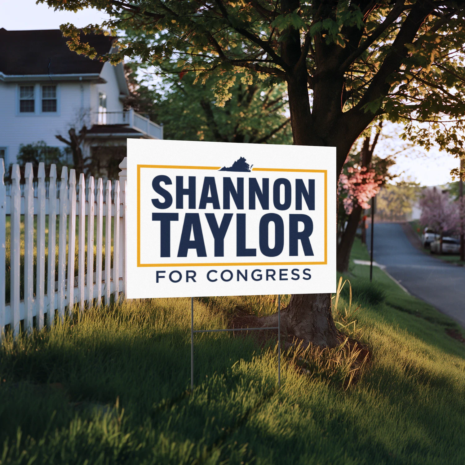 Shannon Taylor For Congress Yard Sign