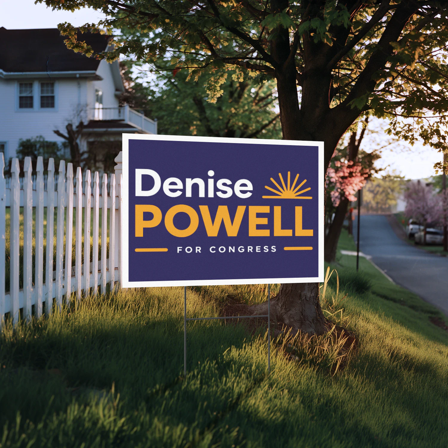 Denise Powell For Congress Yard Sign
