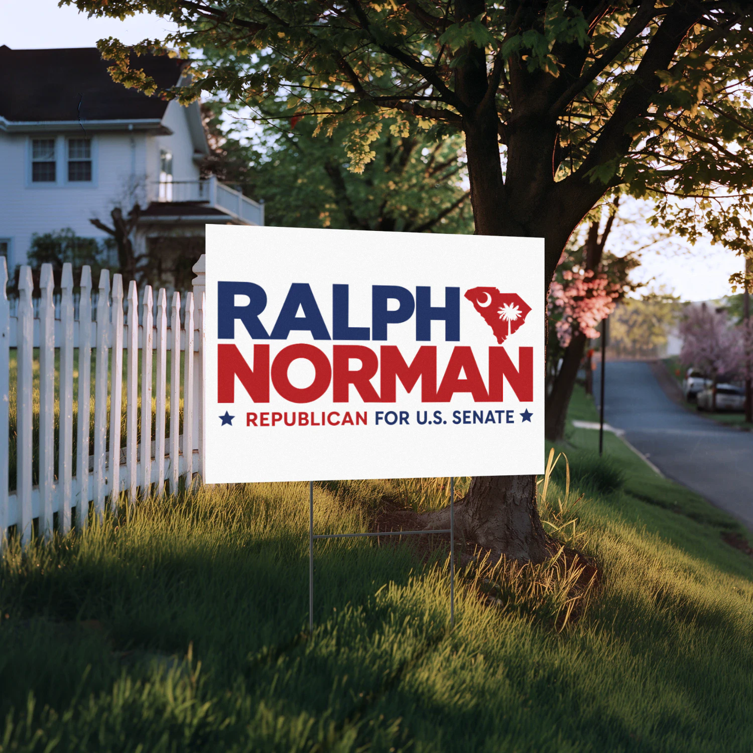 Ralph Norman For US Senate Yard Sign