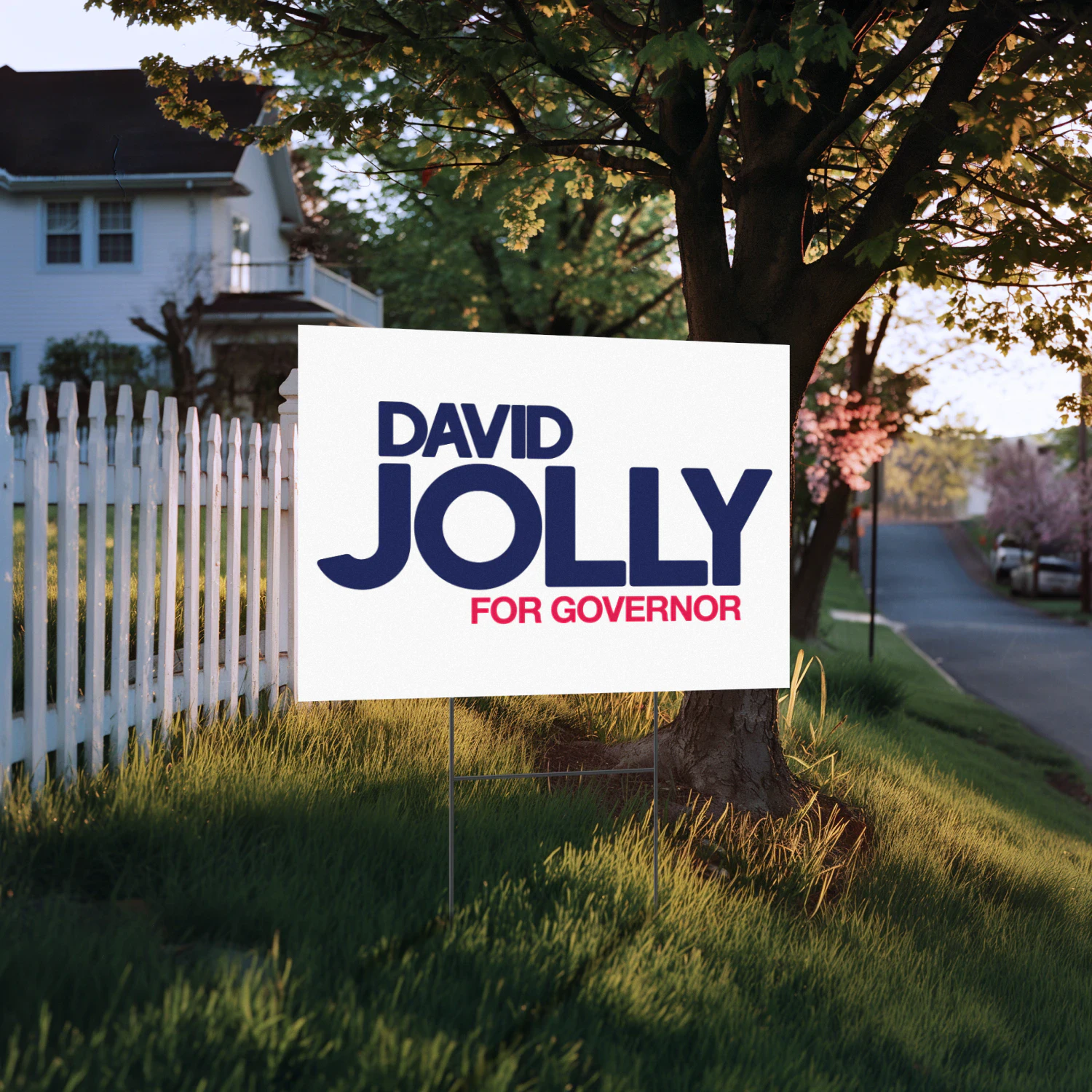 David Jolly For Governor Yard Sign