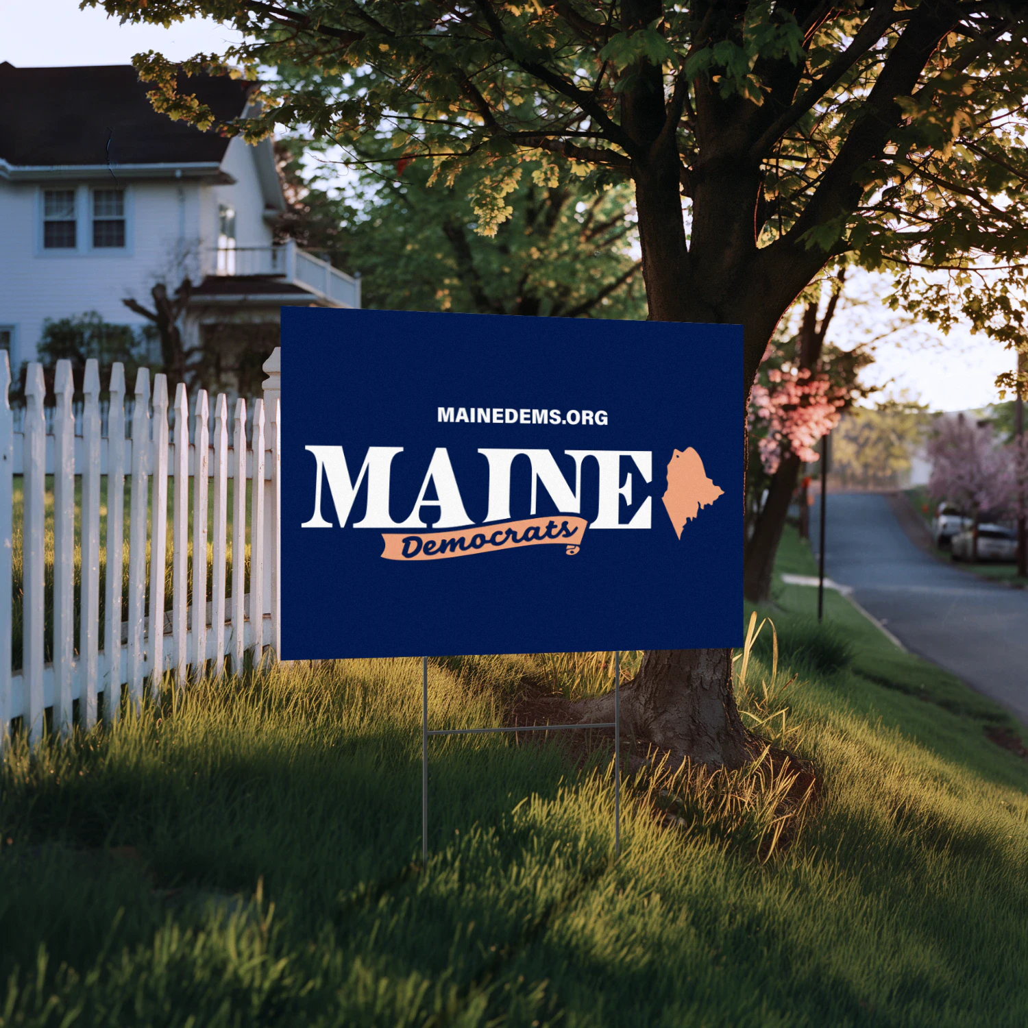 Troy Jackson For Maine Yard Sign