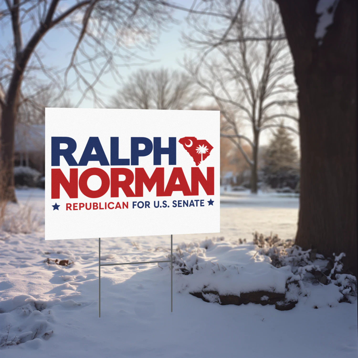 Ralph Norman For US Senate Yard Sign