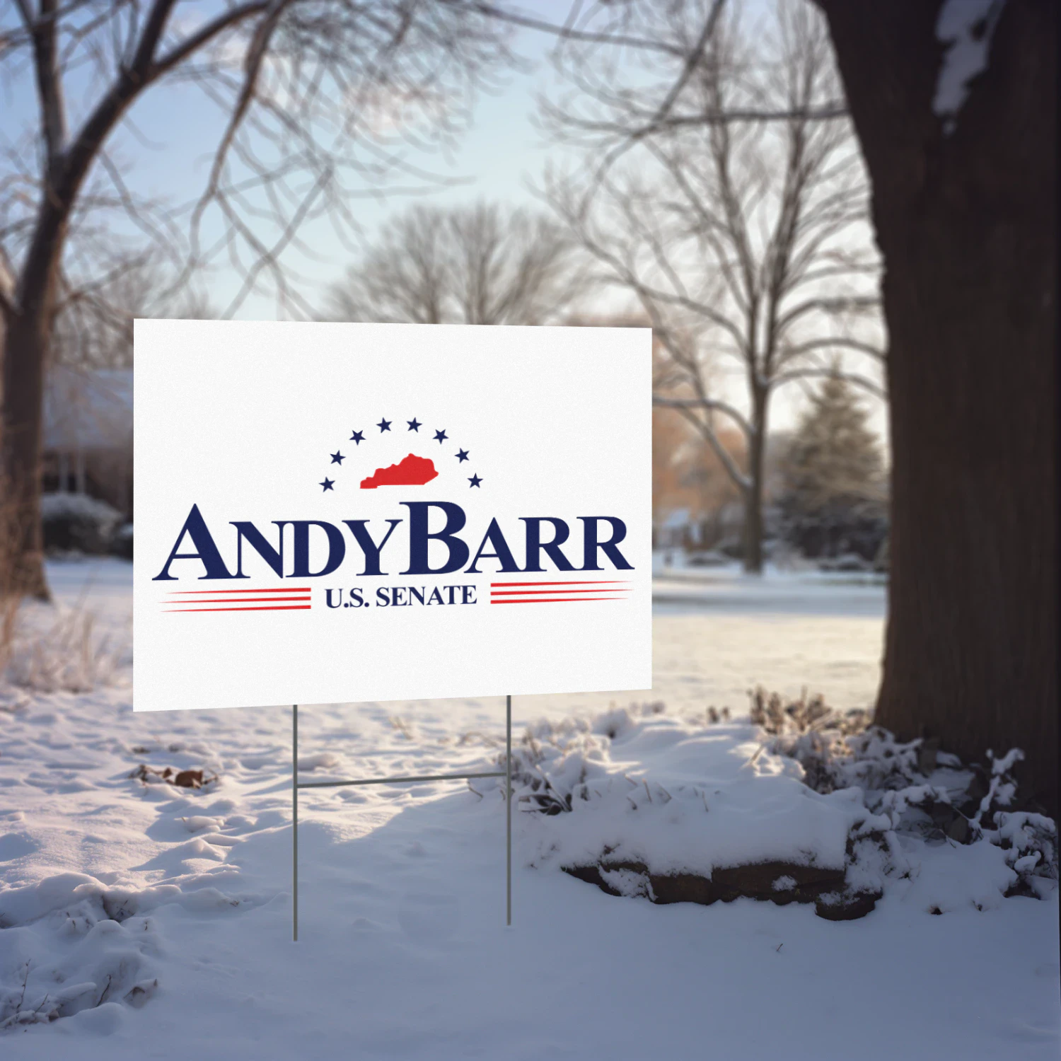 Andy Barr for Senate Yard Sign