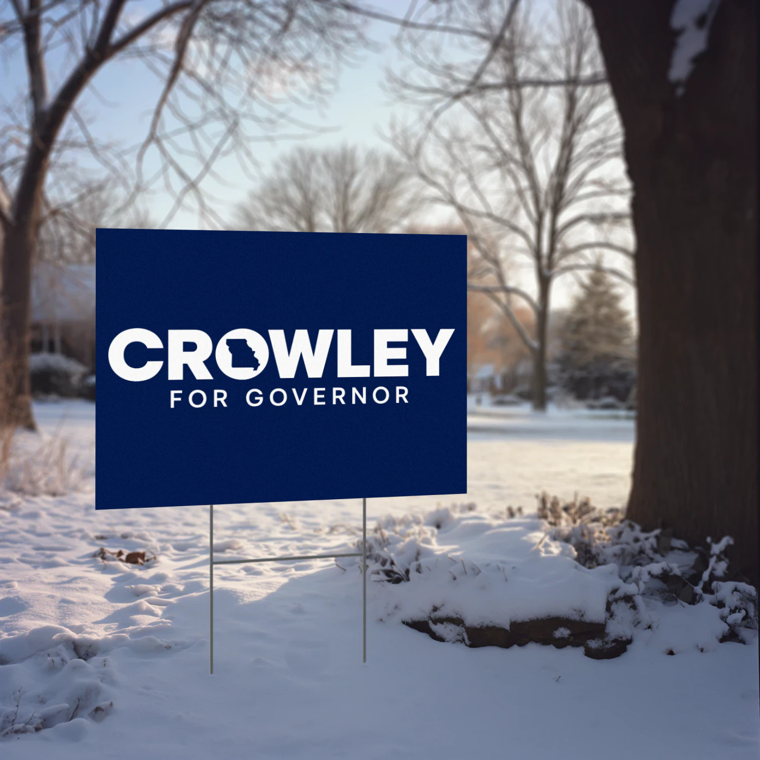 David Crowley For Governor Yard Sign