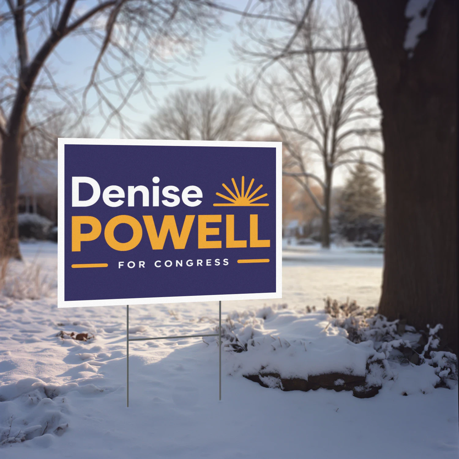 Denise Powell For Congress Yard Sign