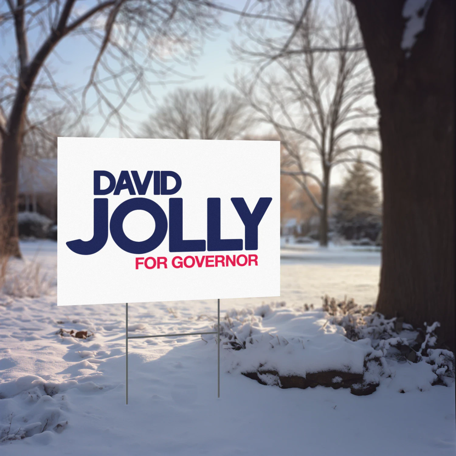 David Jolly For Governor Yard Sign