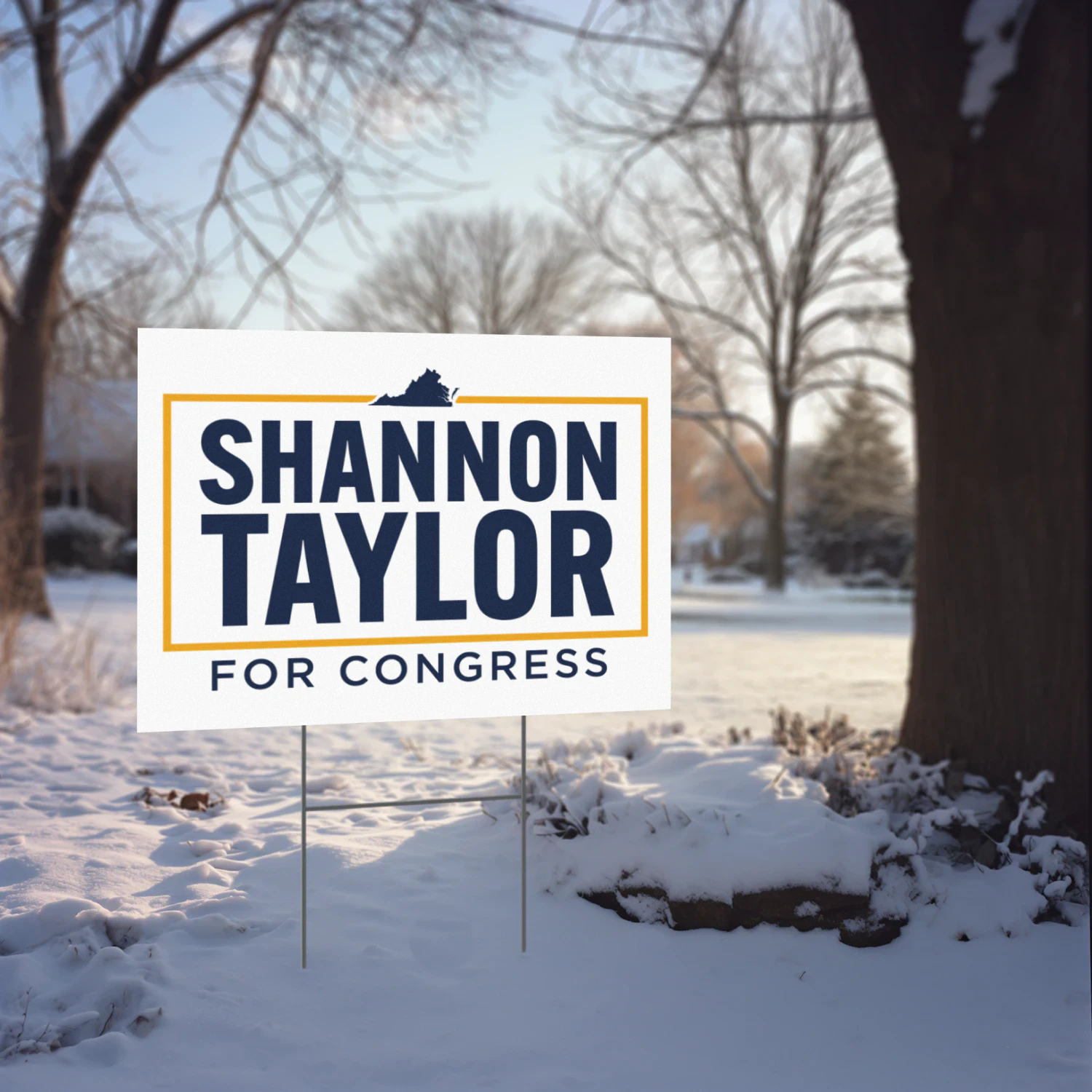 Shannon Taylor For Congress Yard Sign