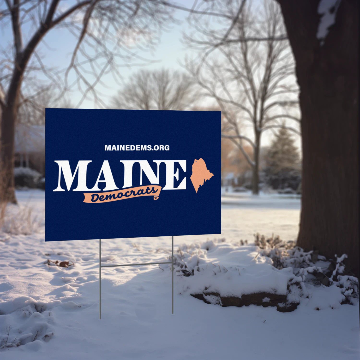 Troy Jackson For Maine Yard Sign